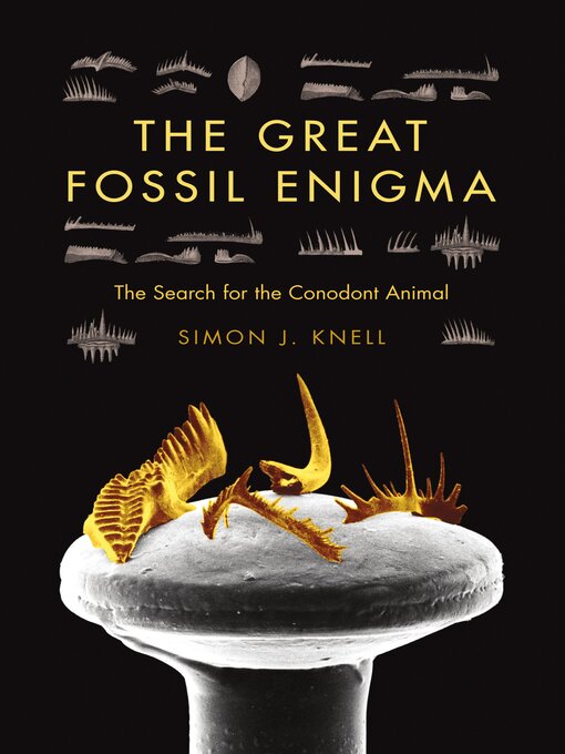 Title details for The Great Fossil Enigma by Simon J. Knell - Available